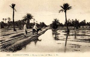 Sud oranais 027
